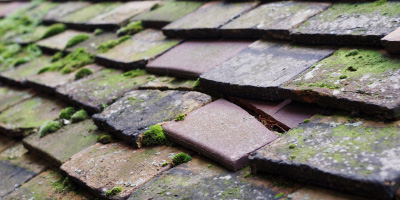 Milo roof repair costs